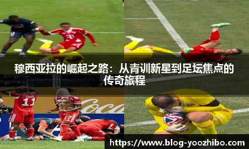 快体育直播网址